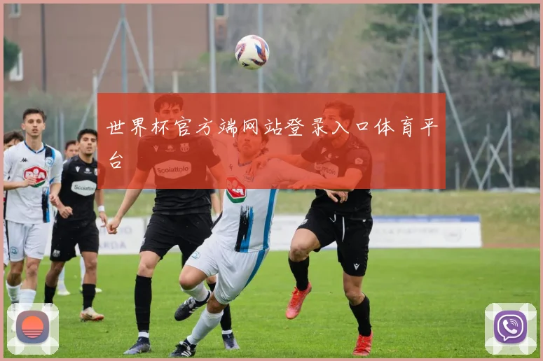 世界杯官方端网站登录入口体育平台