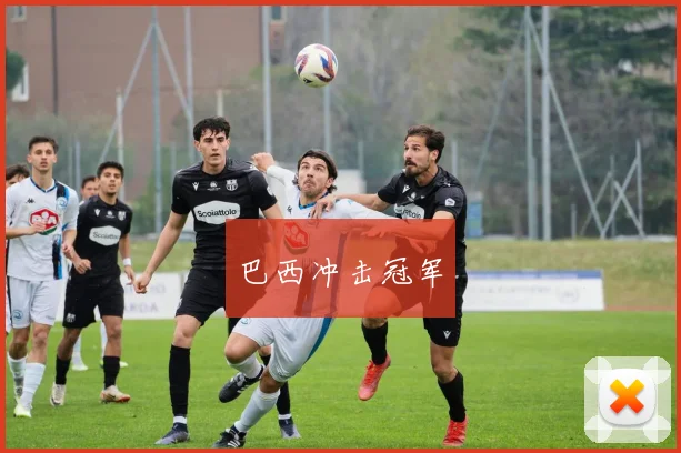 巴西冲击冠军