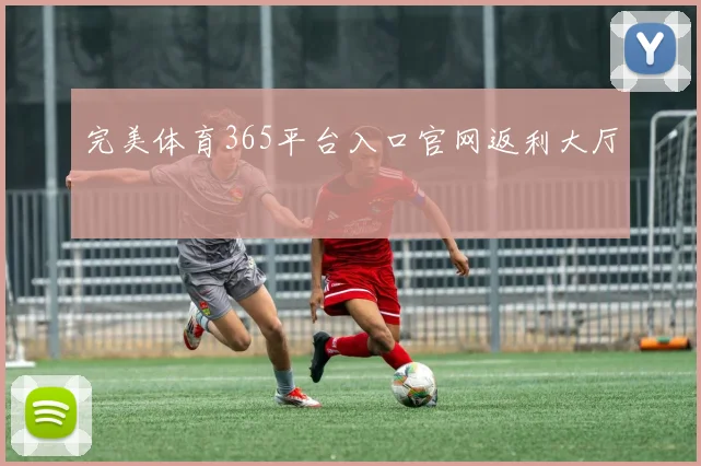 完美体育365平台入口官网返利大厅