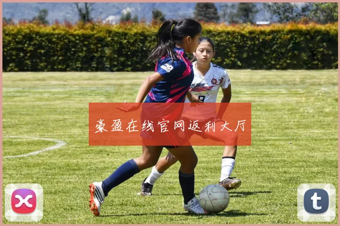豪盈在线官网返利大厅