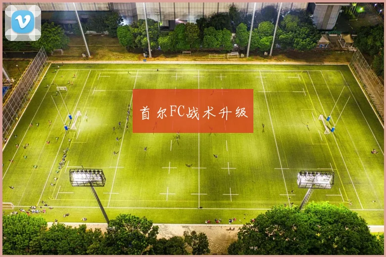首尔FC战术升级