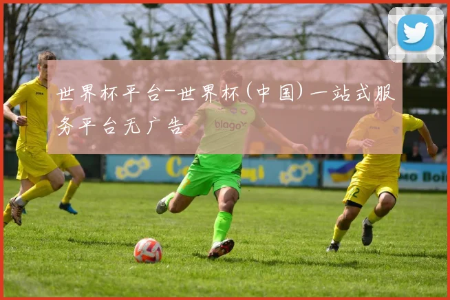 世界杯平台-世界杯(中国)一站式服务平台无广告