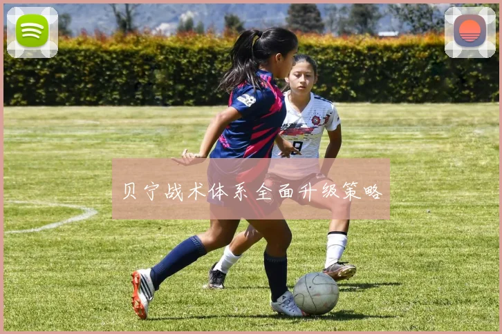 贝宁战术体系全面升级策略