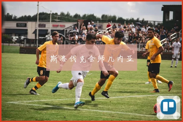 斯洛伐克会师几内亚