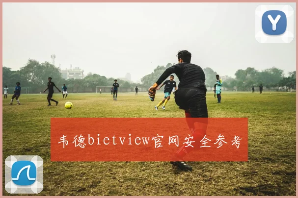 韦德bietview官网安全参考