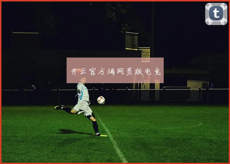 开云官方端网页版电竞