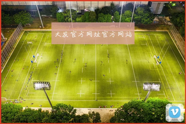 大发官方网址官方网站