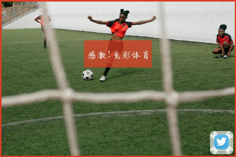 感激!竞彩体育