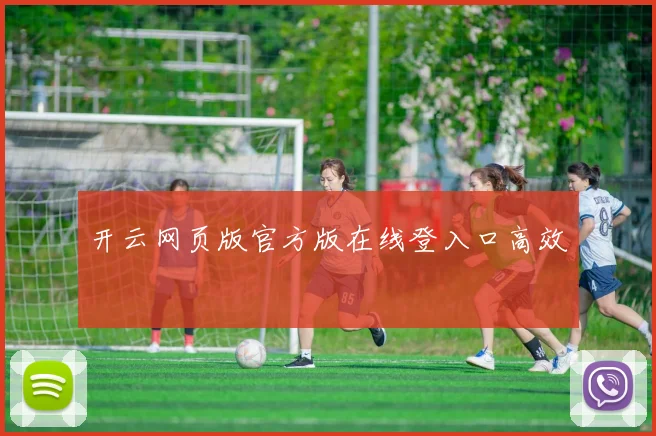 开云网页版官方版在线登入口高效