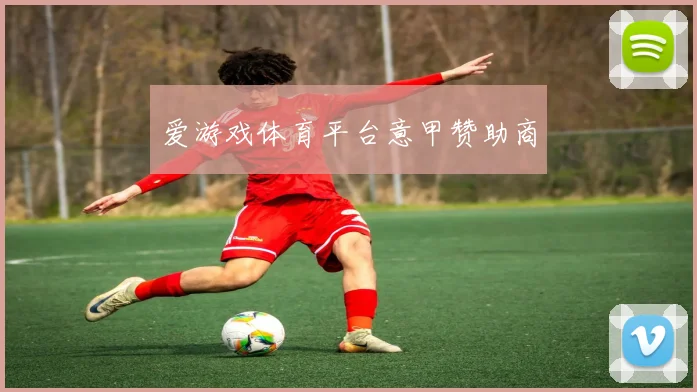 爱游戏体育平台意甲赞助商