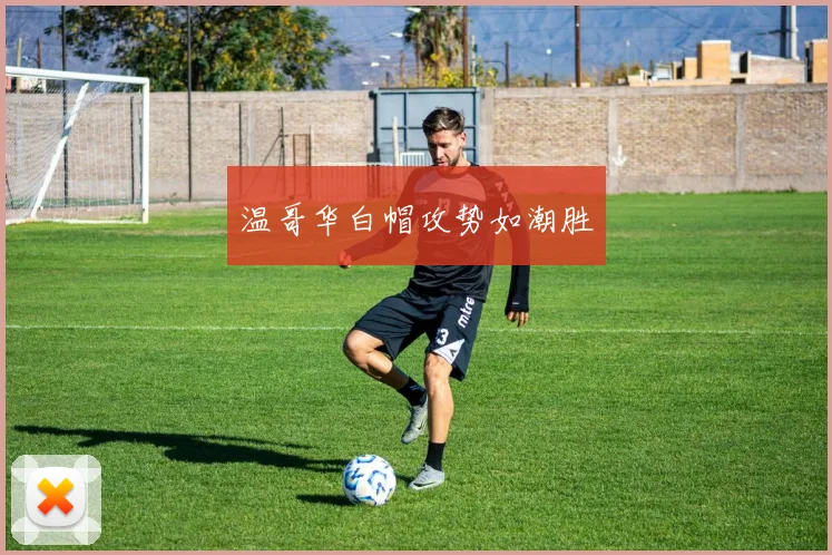 温哥华白帽攻势如潮胜