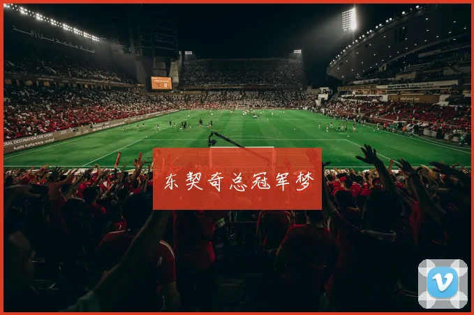 东契奇总冠军梦