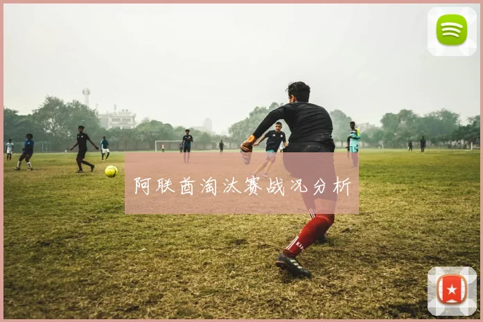 阿联酋淘汰赛战况分析