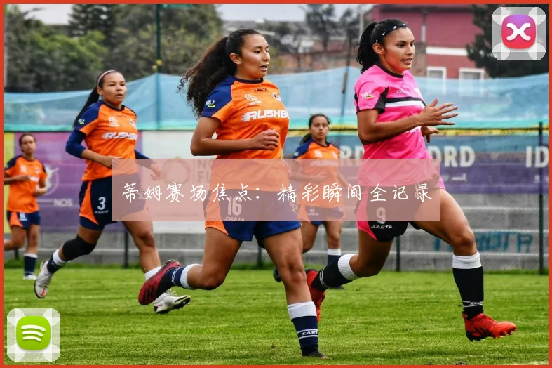 蒂姆赛场焦点：精彩瞬间全记录