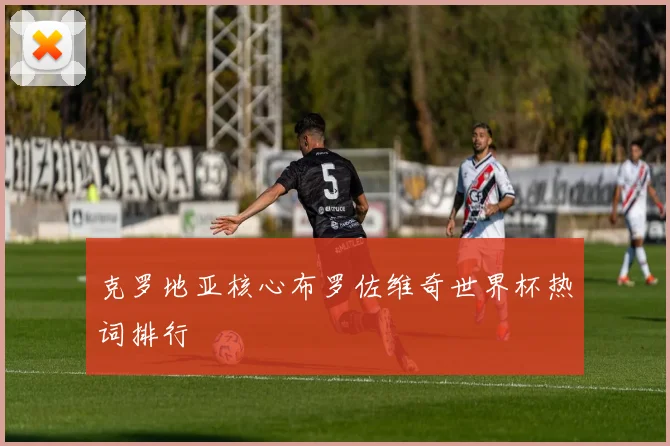克罗地亚核心布罗佐维奇世界杯热词排行
