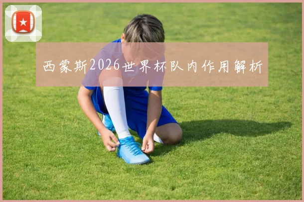 西蒙斯2026世界杯队内作用解析