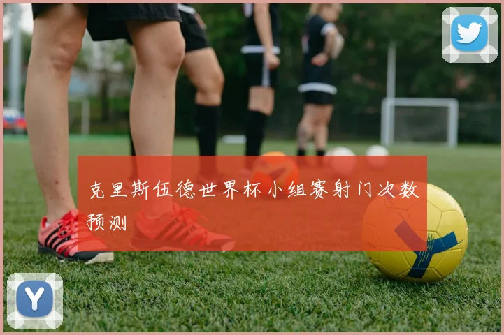 克里斯伍德世界杯小组赛射门次数预测