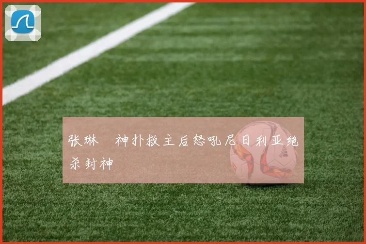 张琳芃神扑救主后怒吼尼日利亚绝杀封神