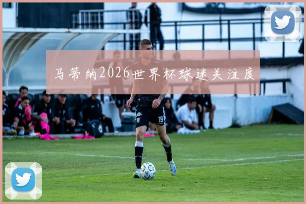 马蒂纳2026世界杯球迷关注度