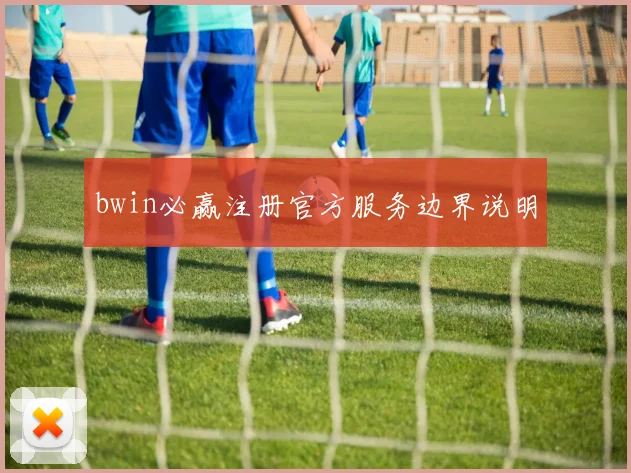 bwin必赢注册官方服务边界说明